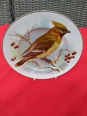 Buy Fenton China Staffordshire Top Quality 4 Bird Plates Going On Site Check Pic • 2.49£