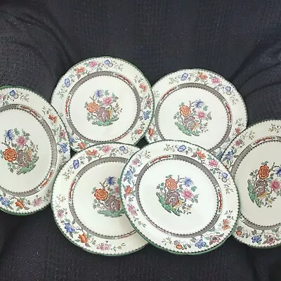 Buy SIX  Beautiful Copeland Spode CHINESE ROSE  10 .25  Inches Dinner Plates • 39.95£