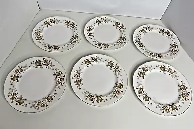 Buy Vintage Colclough Avon Side Plates X 6  Bone China White Brown Leaves 15.5cm • 9.99£