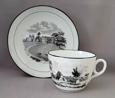 Buy New Hall Bat Printed Pattern 1063 Cup & Saucer 2 C1812-18 Pat Preller Collection • 20£