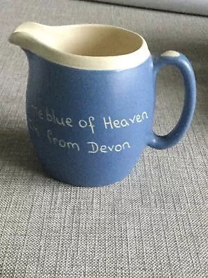 Buy Devonware Blue & White Jug • 2.50£