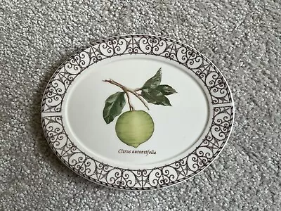 Buy Wedgewood Sarah’s Garden 15cm Oval Plate  • 10£