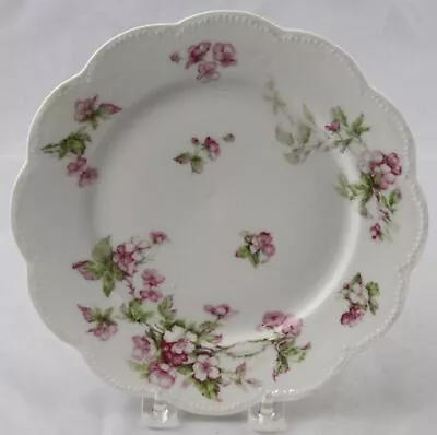 Buy Haviland & Co Limoges Pink Rose Luncheon Plate 8-1/2  Schleiger Pattern 241 • 10.20£