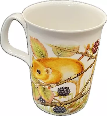 Buy Vintage Rare Field Mice Mugs Roy Kirkham,1991 Country Mice Mug. Blackberry Field • 9.99£