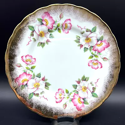 Buy Elizabethan Wild Rose 8-1/8  Pink Floral Gold Blush Scalloped Salad Plate • 12.07£