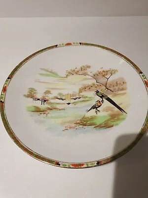 Buy Rare Vintage Mikado Royal Crown Derby Plate 23cm EXCELLENT CONDITION  • 10£