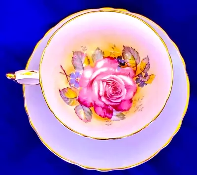 Buy Paragon Teacup And Saucer Set Huge Floating Cabbage Rose Antique Vintage & Rare • 465.96£