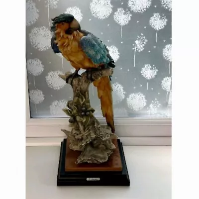 Buy G. Armani Designed Large Macaw Parrot Figurine By Capodimonte Realistic Lifelike • 349.99£