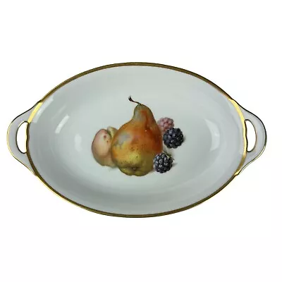 Buy Thomas Bavaria Oval Porcelain Serving Bowl With Fruit Design & Gold Trim • 46.59£