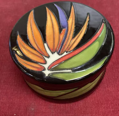 Buy Moorcroft Tropical Paradise Lidded Jar. Vicky Lovatt 2013. MC13 • 144.21£