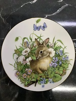 Buy Royal Grafton Fine Bone China British Wild Animals Collection Plate 4 • 10£