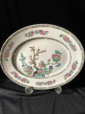 Buy John Maddock & Sons Indian Tree 12” X 10” Oval Serving Platter Vintage, English • 27.96£