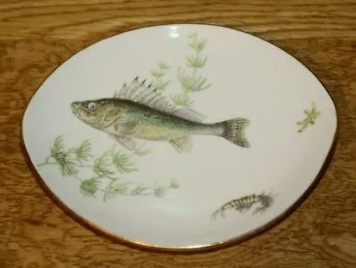 Buy Vintage Royal Adderley 'Floral' Bone China Pin Dish Depicting A Fish And A Bug • 4.99£