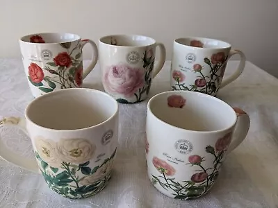 Buy Royal Botanic Gardens Kew Fine China Flower  Mugs X 5 By Creative Tops (Roses) • 22.90£