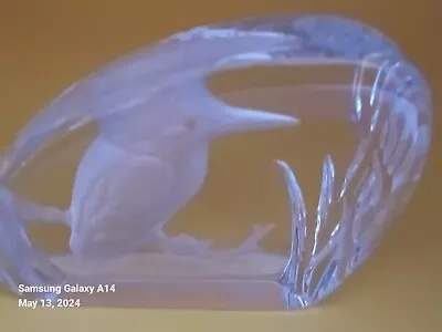 Buy Wedgewood Crystal Glass Bird Paperweight - Kingfisher - 8 X 10cm • 9£