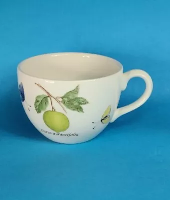 Buy Wedgewood Sarah's Garden Citrus Aurantifolia Cup Replacement  • 11.18£