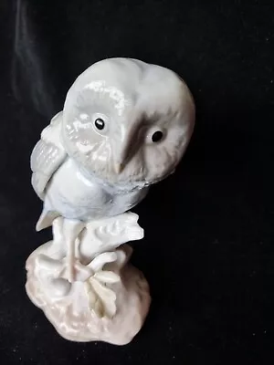 Buy Glazed Light Grey Owl Decorative Figure Ornament Collect 5.5in. Lladro Style. • 4.99£