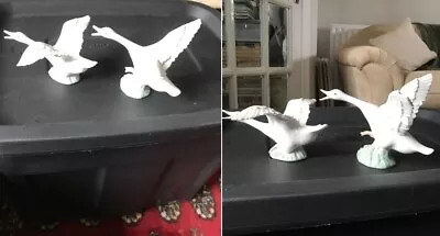Buy Lladro Flying Geese Pair • 12£