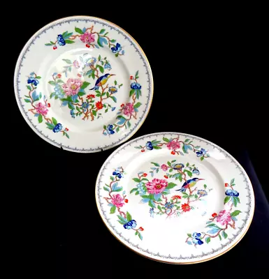 Buy Aynsley Pembroke Bone China. 2 Dinner Plates. 10.5  / 27cm. 1st Quality • 19.95£