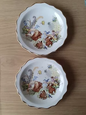 Buy English Heritage Regency Bone China 4.5  Plate Set Bunny & Squirrel  • 15£