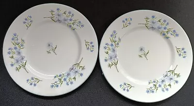 Buy SHELLEY FINE BONE CHINA BLUE ROCK 2 PLATES COLLECTABLE C1940-66 • 9.99£
