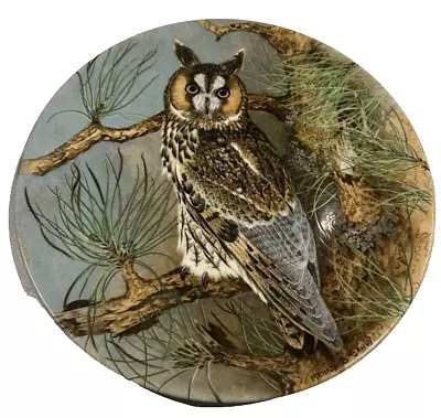 Buy Coalport Michael B. Sawdy Long Eared Owl Plate The Wise Owl 1990 Bone China • 9.99£