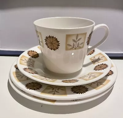 Buy Royal Vale Bone China Autumn Pattern 8216 70s Vintage Trio +extra Side Plate • 12.85£