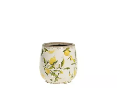 Buy Round Lemon Pattern Plant Pot, White Plant Pots, Succulent Plant Pots, Limone • 14£