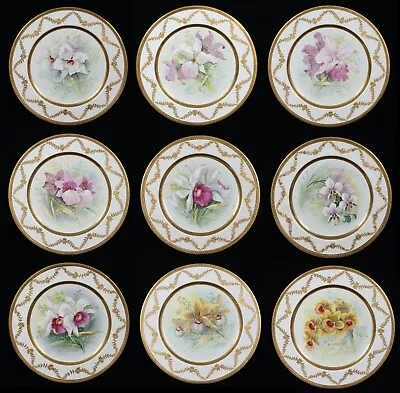 Buy Rare1 Antique Wileman & Co The Foley China Flower Pattern Plate Series 79.10448 • 745.53£