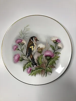 Buy Royal Worcester Fine Bone China Bird Plate C51 • 4.66£