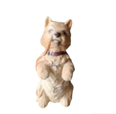 Buy Royal Osbourne Brown, West Highland Terrier Dog 4  Tall Preloved VGC • 5.99£