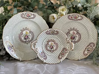 Buy Antique Staffordshire Plates Hand-Painted Rose Bouquets Sevres Style Coalport ?? • 28£