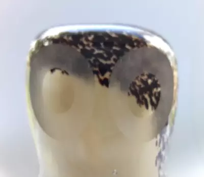 Buy Wedgwood Glass OWL Paperweight - Brown Speckled And Beige - VGC • 12.75£