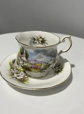 Buy Queen’s Rosina Porcelain Teacup And Saucer Quebec Cottage Scene Fine Bone China • 18.66£