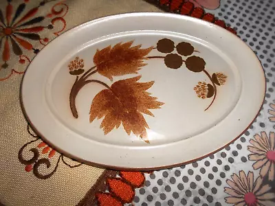 Buy Vintage Denby Cotswold Pottery: Medium Size Platter • 8£