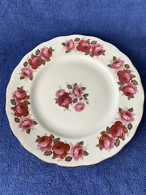 Buy Queen Anne Margaret Rose Vintage Dinner Plate 27 Cm Wide. VGC Used. • 10.50£