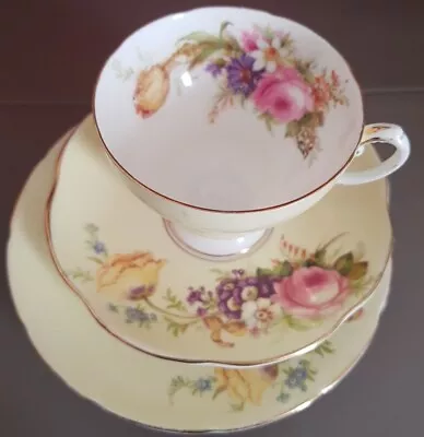 Buy Foley Bone China EB Made In England Yellow Floral Vintage Cup, Saucer And Plate • 15£