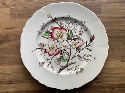 Buy Vintage Alfred Meakin Wild Rose Decorative Plate  • 9£