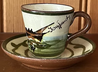 Buy Vintage Torquay / Moto Ware Tea Cup & Saucer  The Cup That Cheers  Tony Pandy • 4.25£