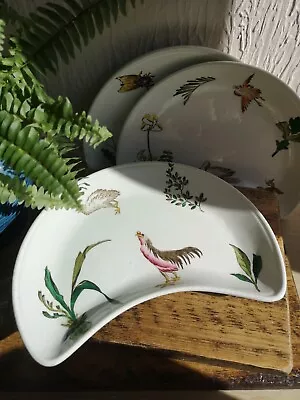 Buy Rare Antique Victoran George Jones Birds Flora Fauna Crescent China Plates X 3 • 120£