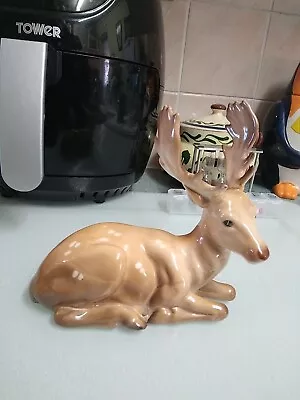 Buy Beswick Stag Lying Down • 65£