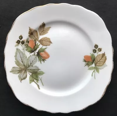 Buy Vintage Royal Vale Autumn Leaves ,Berries,Nuts Side Plate Good Used Condition • 8£