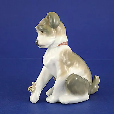 Buy Lladro New Friend Porcelain Dog & Snail Figurine #6211- 13.5cm/5.25  High • 24.99£