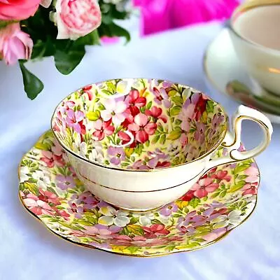 Buy Royal Standard Virginia Stock Floral Chintz Tea Cup & Saucer D Handle • 27.95£