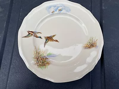 Buy Alfred Meakin -  Plate In The ‘WILDFOWL’ Design 7” • 8.50£