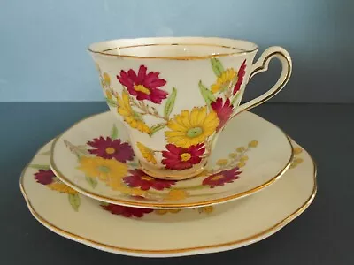 Buy Vintage Salisbury  Aster  Fine Bone China Tea Set Trio Hand Painted • 18.99£