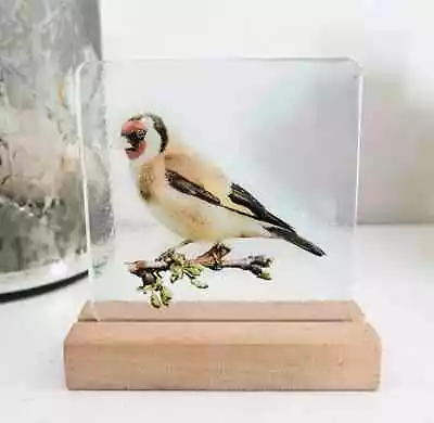 Buy Stained Glass Goldfinch Bird Suncatcher Stain Glass Gift Decoration Window Birds • 30£