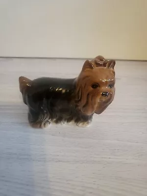 Buy BESWICK Ceramic Dogs  Pampered Pets  - Yorkshire Terrier • 17.99£