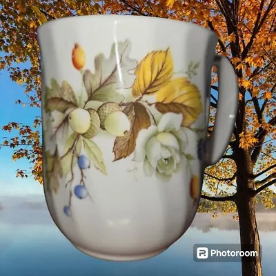 Buy Duchess Bone China Coffee Mug Autumn Pattern England 410 • 15.84£