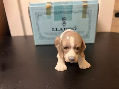 Buy LLADRO #1071 Beagle Sad Puppy Dog Sitting Porcelain Figurine NIB • 33.50£